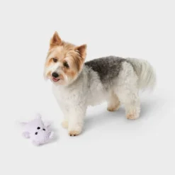 Bear Plush Puppy Dog Toy - Boots & Barkley™ - Purple