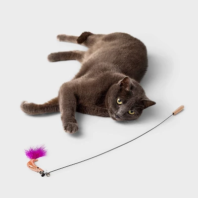 31" Figural Wand Wire Cat Teaser Toy - Boots & Barkley™ 1 31" Figural Wand Wire Cat Teaser Toy - Boots & Barkley™