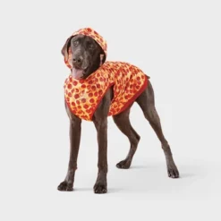 Pizza Dog And Cat Hoodie - Boots & Barkley™ -Pets Gift Store GUEST ecb69eb2 c9e0 4783 95e4 2d42b0e261d7