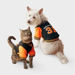 Football Letter Jacket Dog Full Body Costume - Boots & Barkley™ -Pets Gift Store GUEST f8953f58 6fa6 447b 9219 870f8776feee