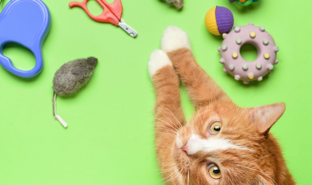 Front Page 52 Front Page -Pets Gift Store SH Ultimate Cat Supply List 1080x640 1 1